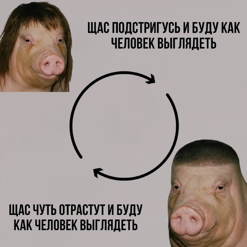 Ночная подборочка
Спать, режим