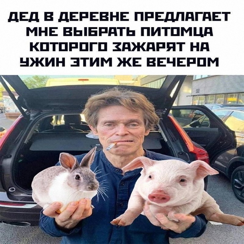 Ночная подборочка
Выходные, не спим