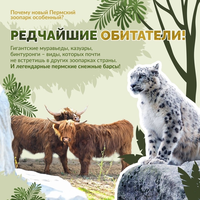 😍 Родители, готовьте детей к восторгу!
Новый зоопарк ...