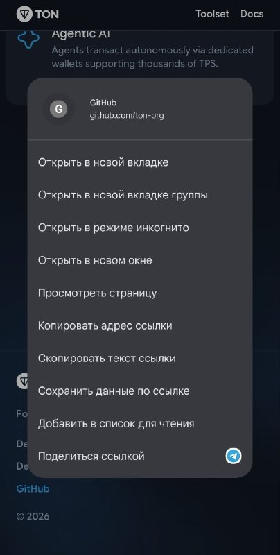 Павлин не знает правильный адрес Гитхаба TON'а
github.com/ton-blockchain
Возможно там указали прив