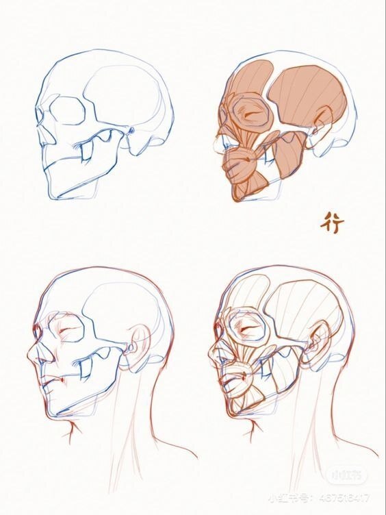 Голова
Sketch
Tutorial