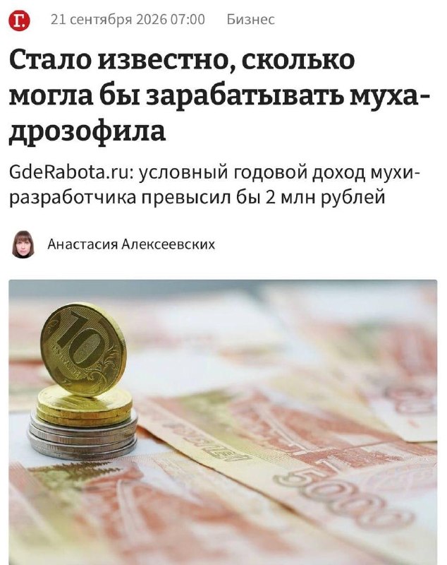 Дохлая муха обогнала айтишников по зарплате.
Мы явно занимаемся не тем.