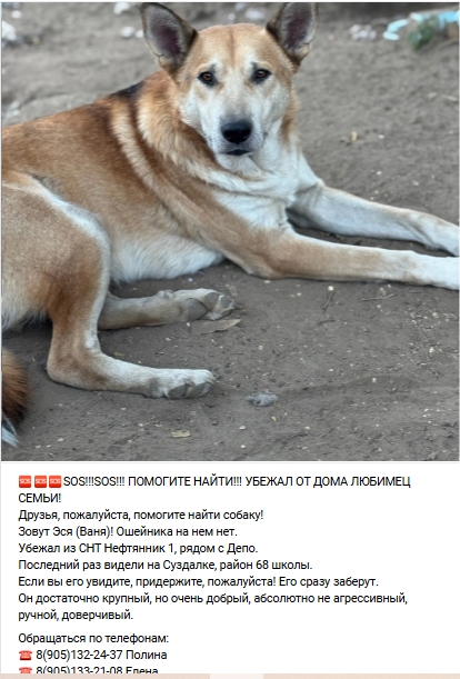 Пост добра. Распространите, пожалуйста.
СРОЧНО! По то?...