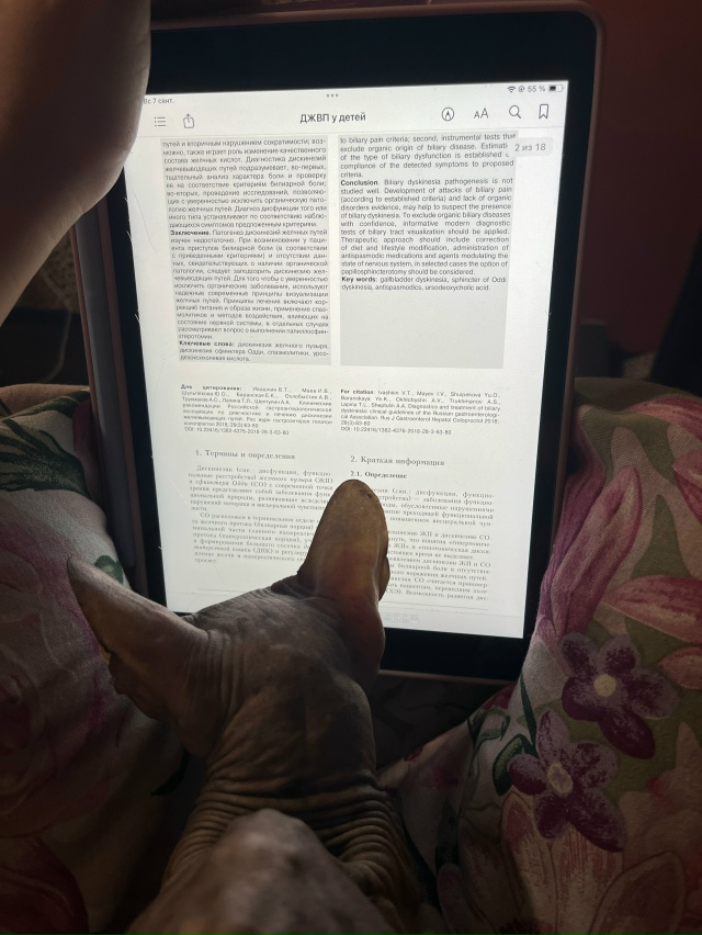 Мой лысый попи Филя