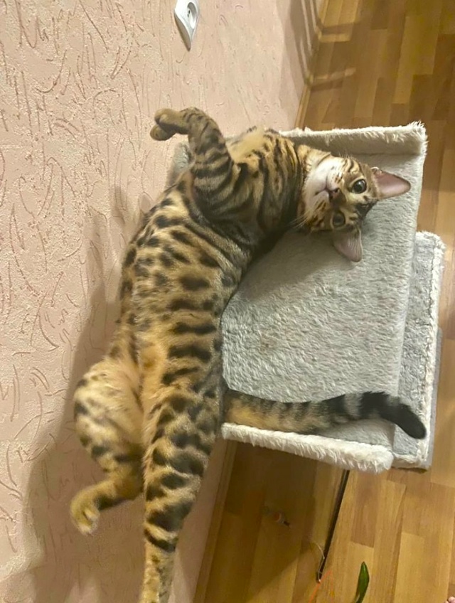 Здравствуйте !
Очень нужна ваша помощь !!!
Мы не теряем ?...