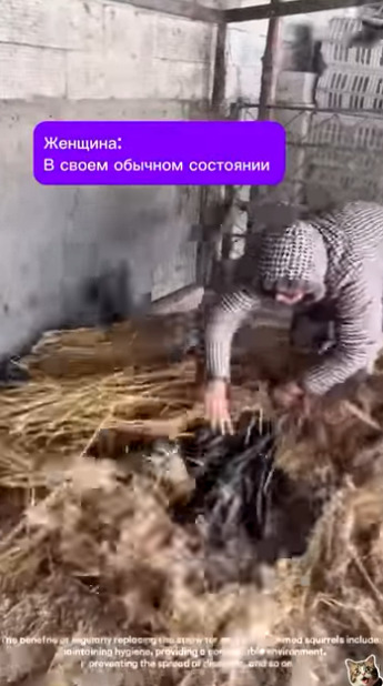 Женщина в своем обычном состоянии