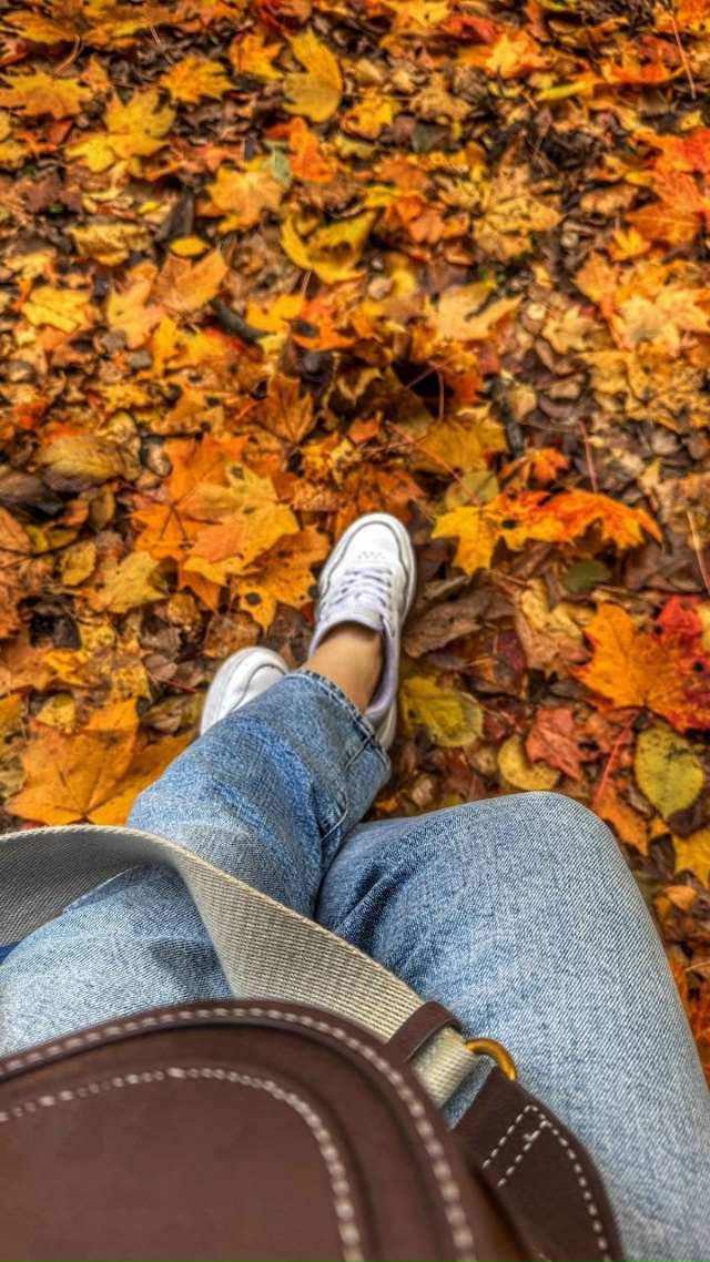 ОСЕНЬ В ПАРКЕ ПЕХОРКА 😊