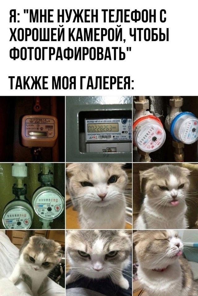 ты взрослый