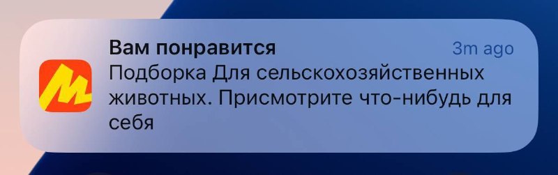 Сижу читаю мантру "TON не свинарник, TON не свинарник" и тут бах! Приходит уведомление на телефон
@