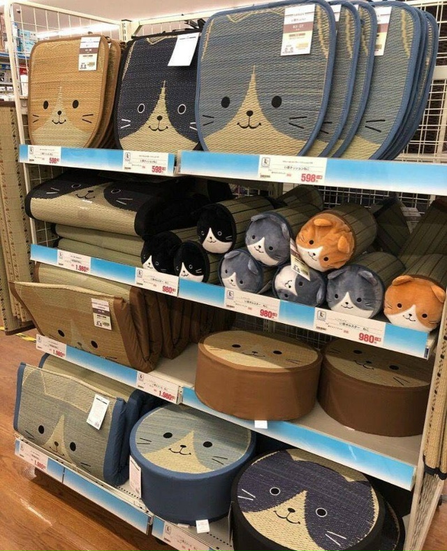 Если бы я открыл свой магазин: