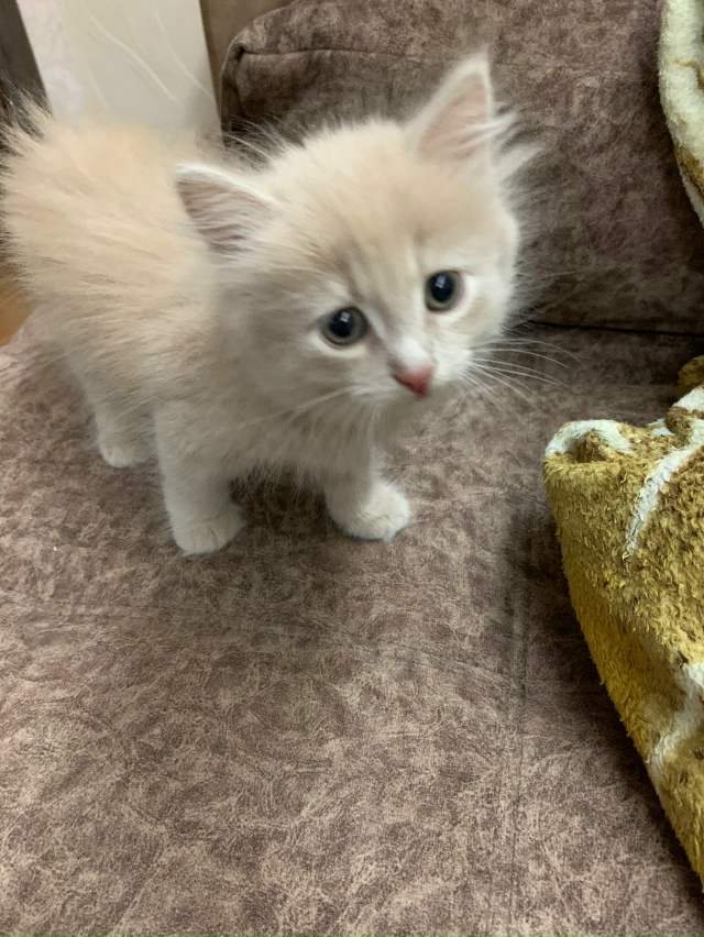 Моменты
Взросления Томасика