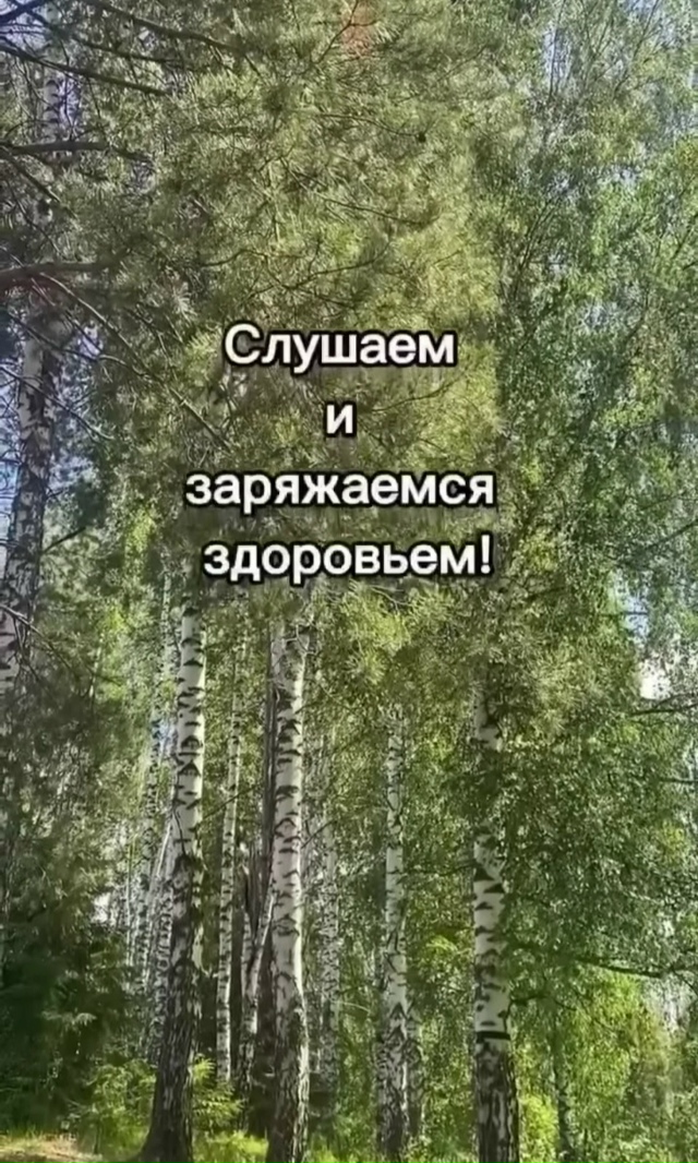 Пение соловья создает атмосферу покоя и гармонии, помо...