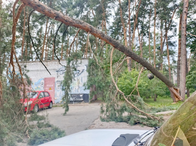 Упало дерево возле Кб