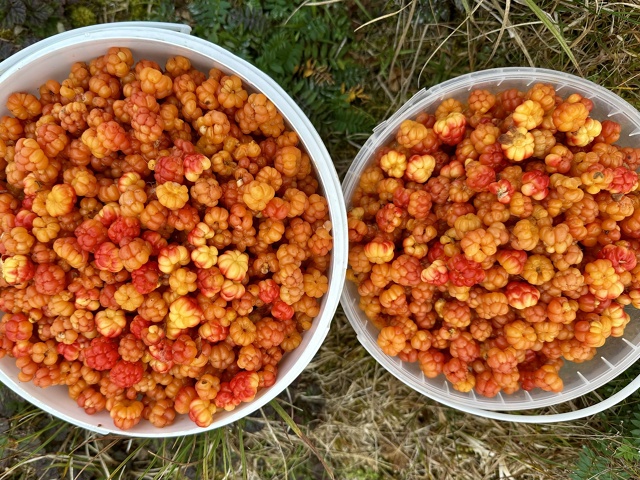 Фото: Ирина Коваль