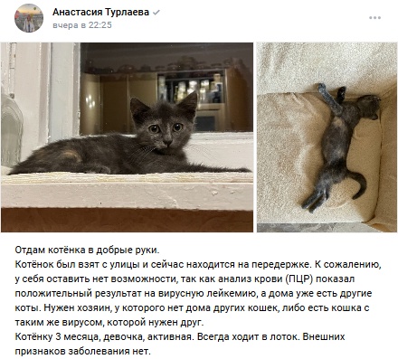 Пост добра. Распространите, пожалуйста.