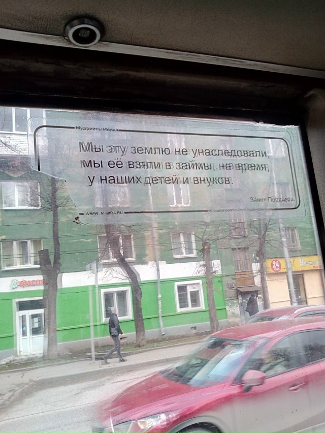 Цитаты из пермских автобусов
