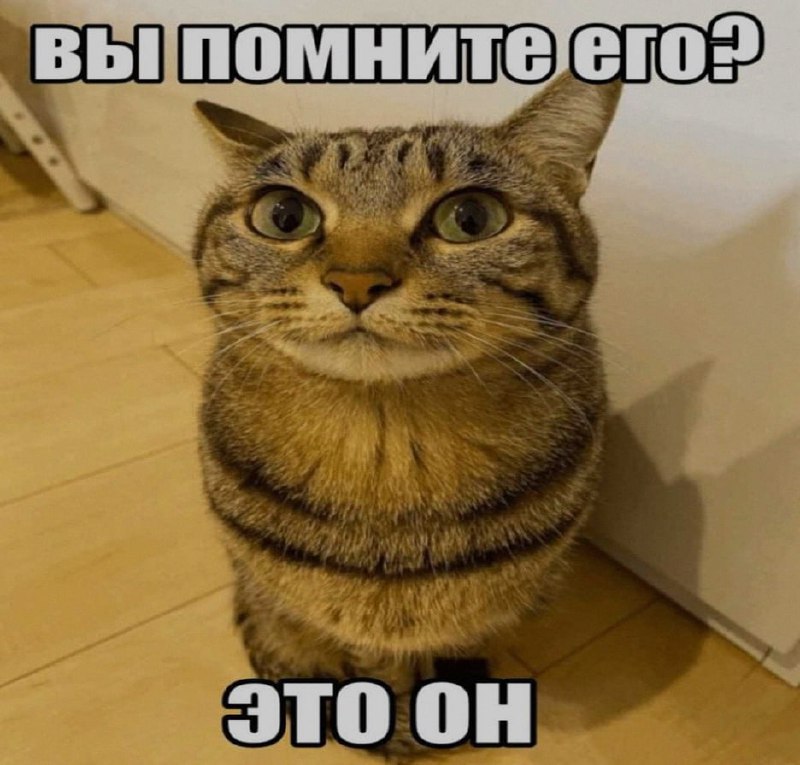 Ночная подборочка
Спать, режим