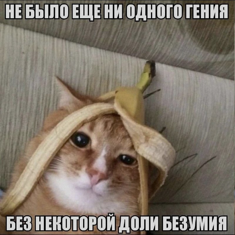 Ночная подборочка
Спать, режим