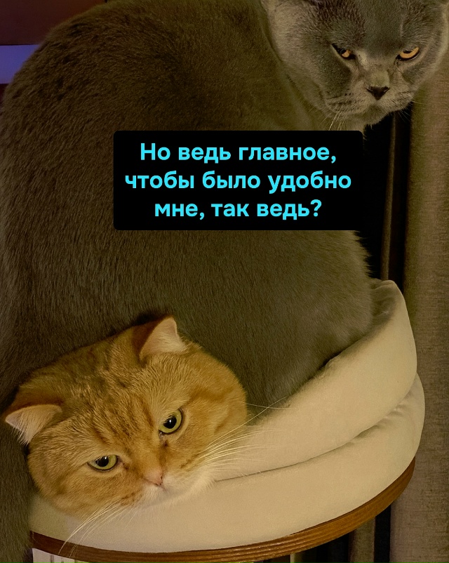 Брак — это компромисс. Ты молчишь, а она делает, как хоч...