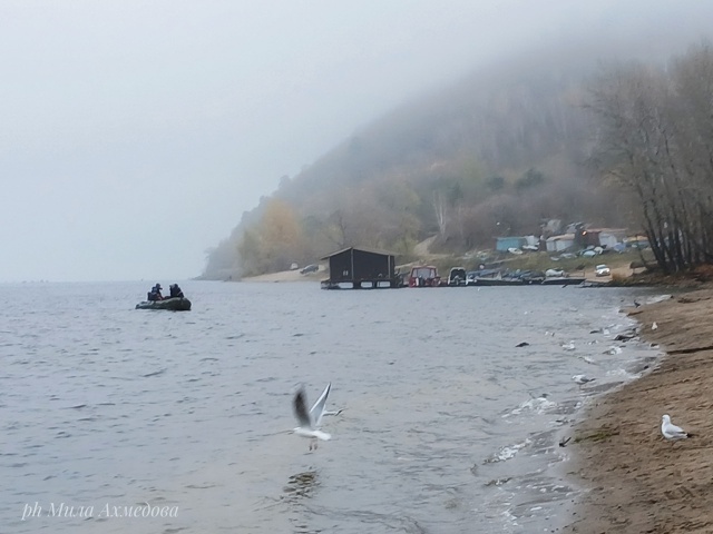 Осенние туманы на набережной. 🍁🌫
Самарская обл.