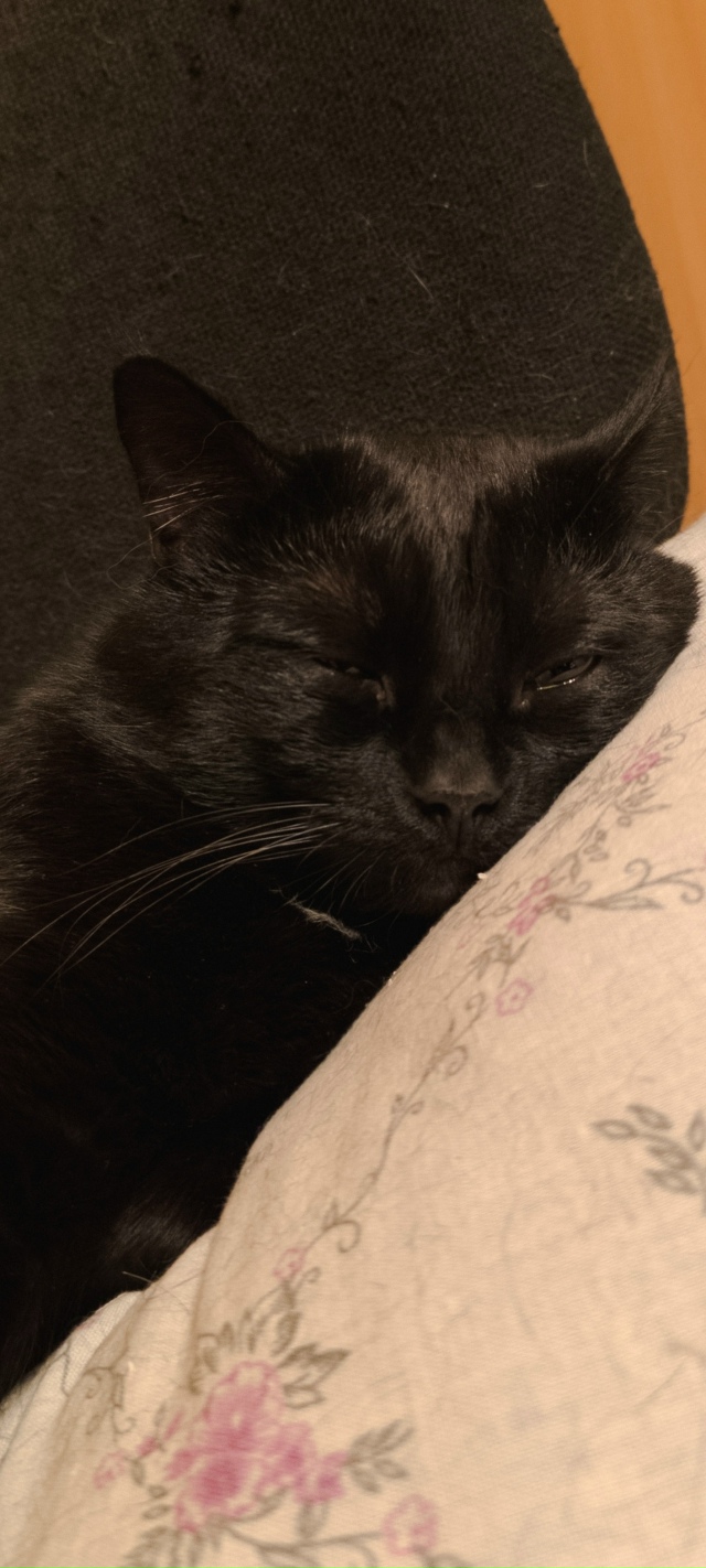 Доброе утро, всем собирающимся на работу)