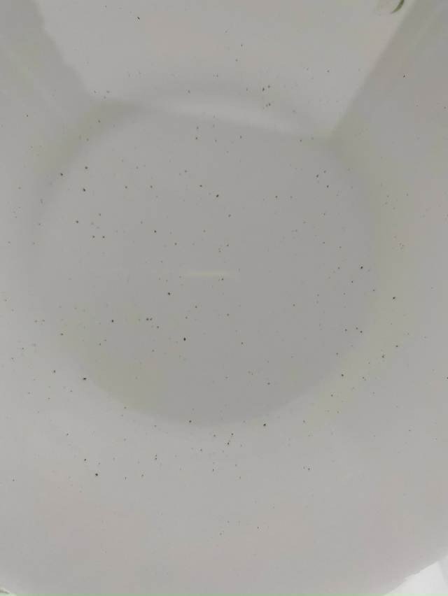 Анонимно. Нужен совет! Живем в частном доме, в Антоповк?...