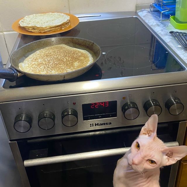 Контролирует процесс и ждет свой первый блин😋 а может...