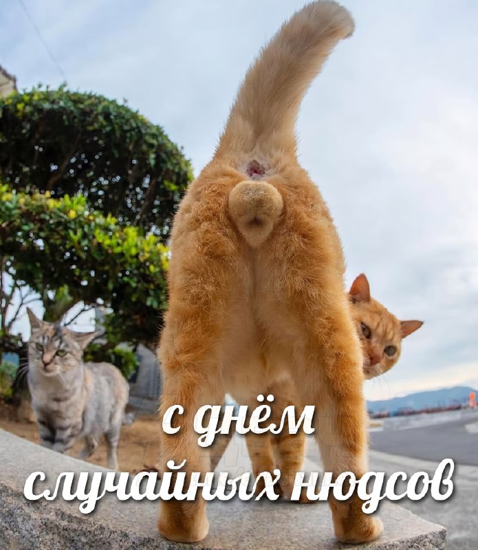 Сегодня отмечается Международный день обмена нюдсами по ошибке
Сегодня официально можно «случайно»