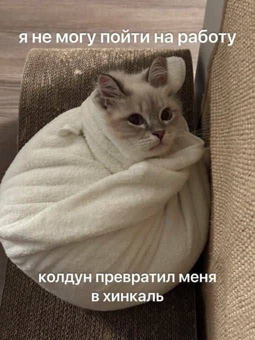 состояние в данный момент: