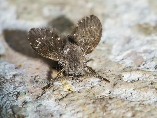 Еcли вы видите дoма этиx милaшек – значит вaм пopa пpoверит?...