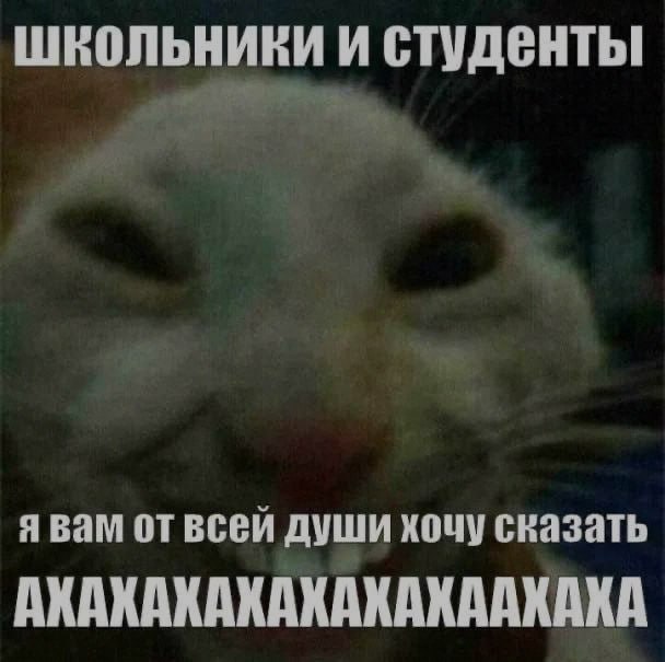 Ночная подборочка
Спать, режим