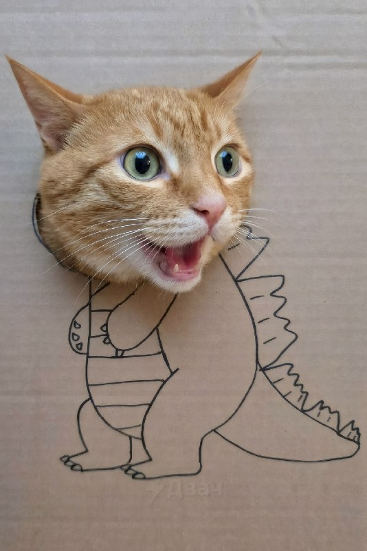 Внимание!
Котзилла.
Спасибо за внимание.