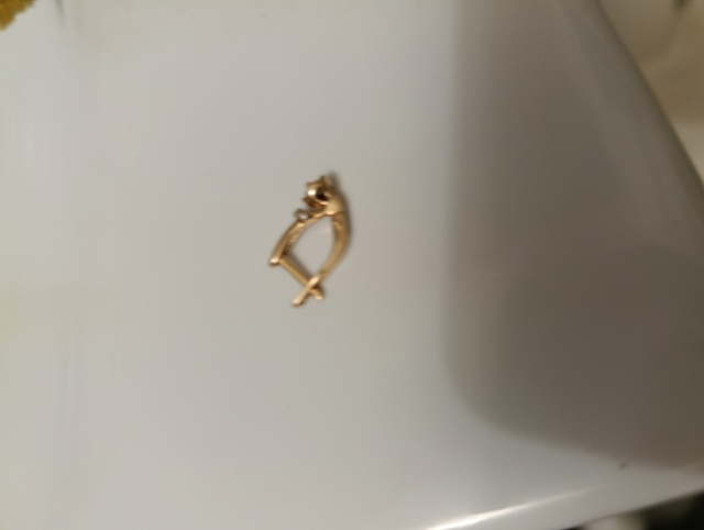 Сегодня нашла серьгу.. Отдам, при предъявлении второй т...