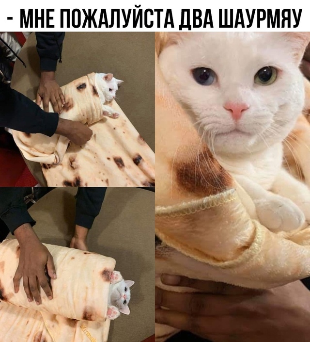 Ирония зашкаливает