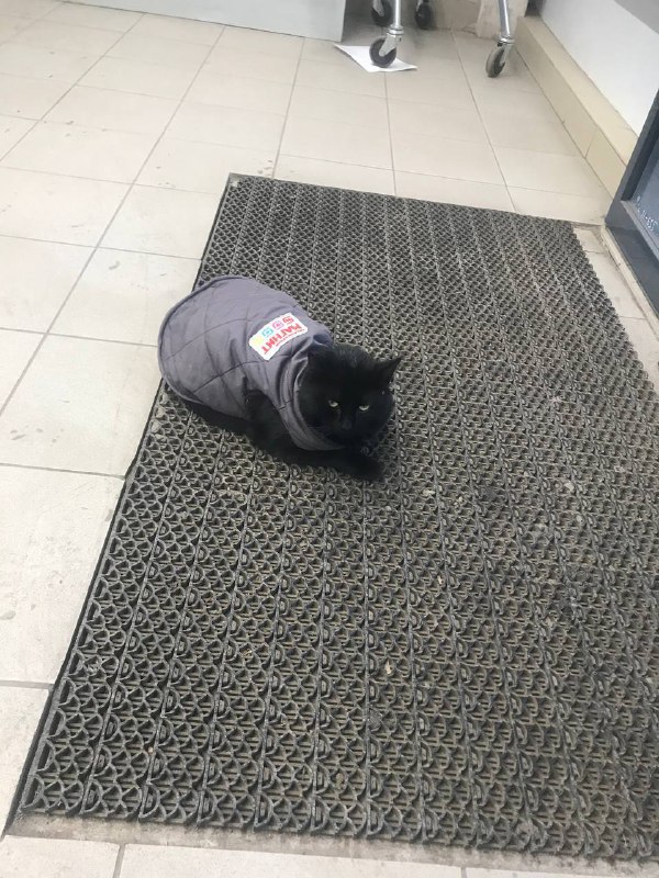 В Туле в магазине Магнит появился новый сотрудник, который успешно прошел стажировку и теперь официа