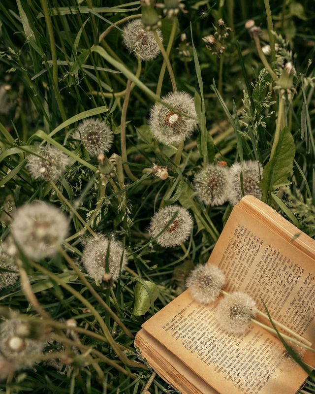 Секрет счастливой жизни в том, чтобы каждый день влюбл?...