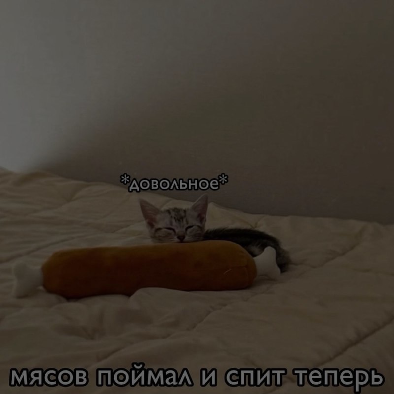 Ночная подборочка
Спать, режим