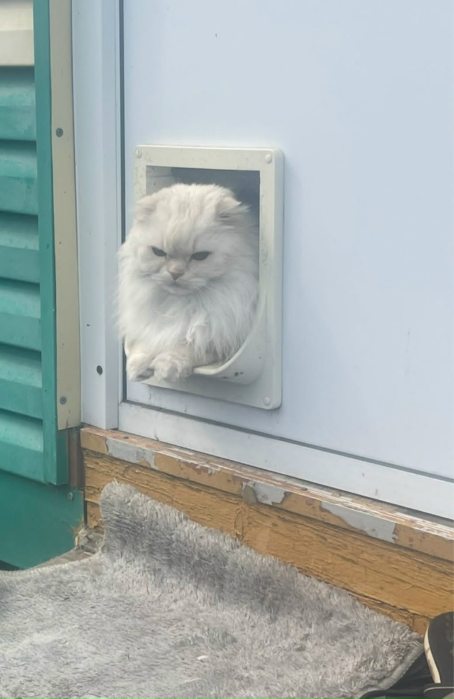 Бро выглядит так, будто пришел выдать тебе сайд-квест н...