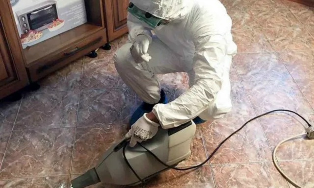 Предлагаем услуги дезинфекции, дезинсекции, дератизац...