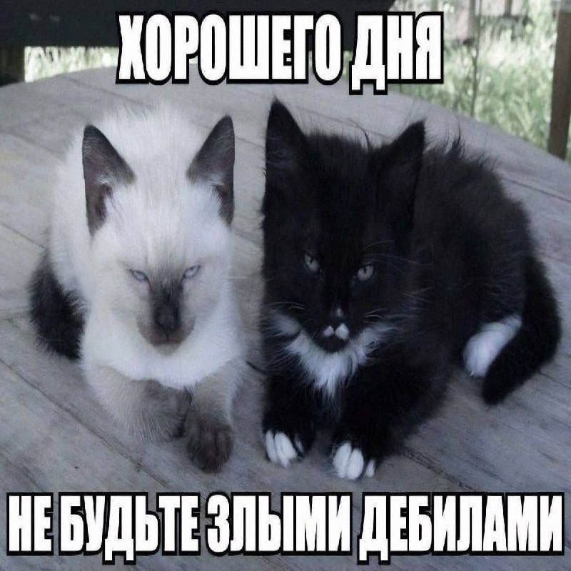 Утренняя подборочка