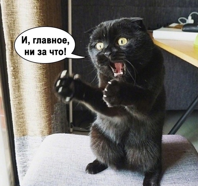 Бедняжка😨