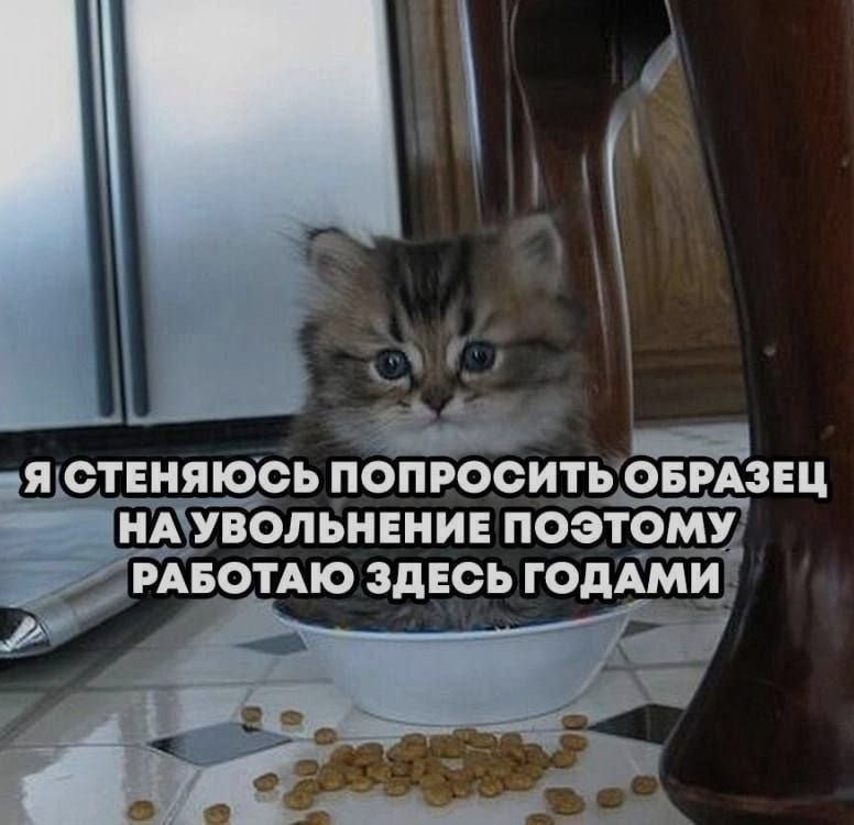 Ночная подборочка
Спать, режим