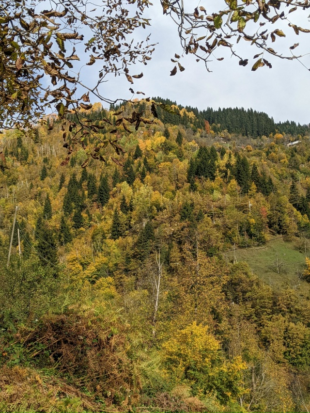 Доброй ночи, Никольск❤