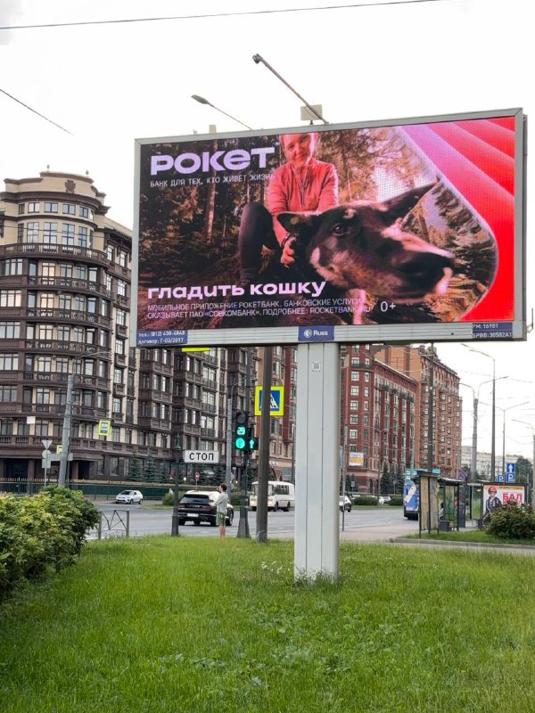 Да, это не кошка. И что вы сделаете Рокетбанку?
А вообще прикольно, что в рекламе банка вместо нако