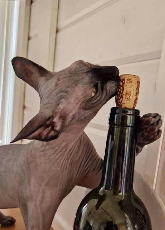 Оо пьятничька