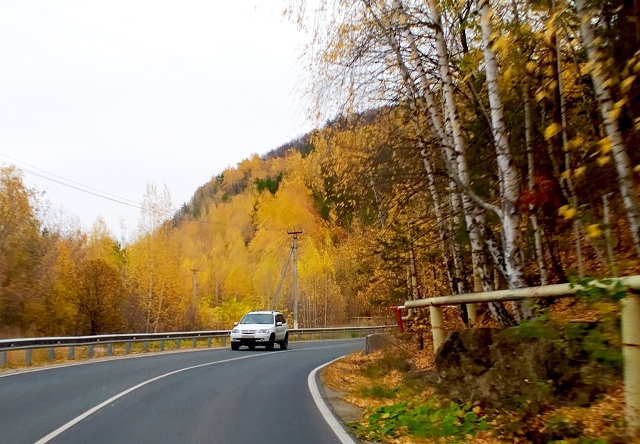 Живописнейшая дорога в село Ширяево, каждый поворот з?...