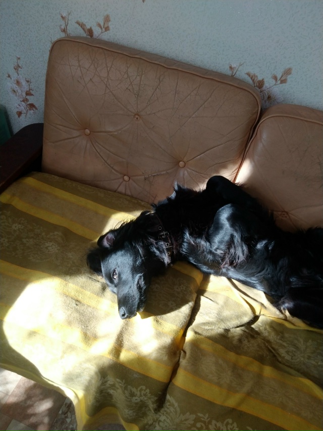 Здравствуйте уважаемые жители города Остров! Продолжа...