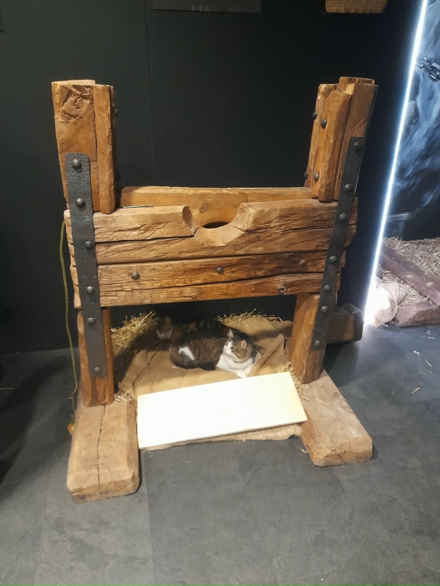 Котики живут в петербургском музее пыток. ^^