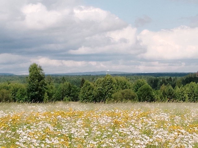 😍 Нам пишут, что недалеко от села Юговское Кунгурског?...