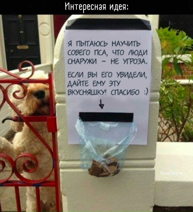 Какой же этот 